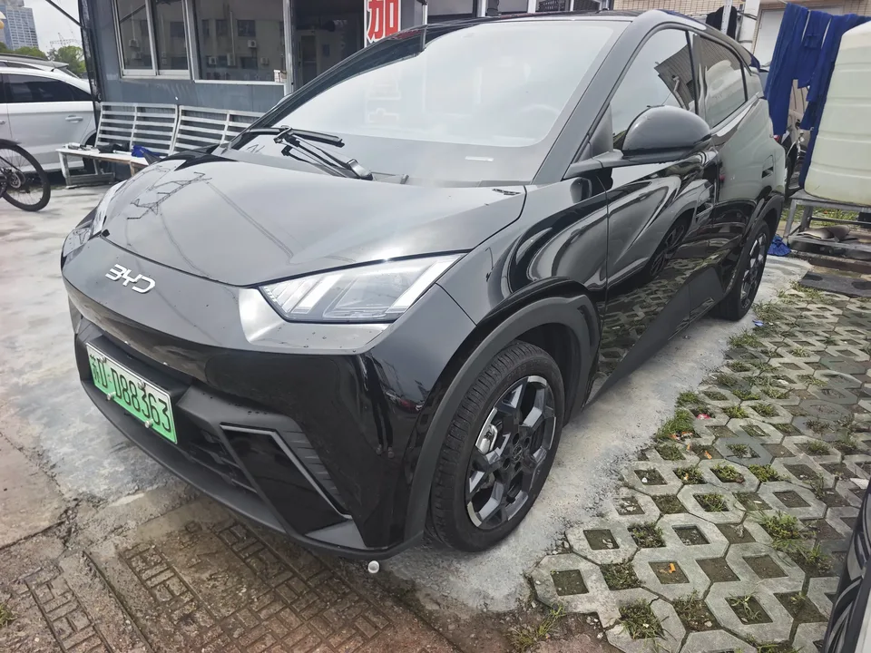 BYD Seagull seagull 2025 405KM Flying Edition 2025 — photo 1, buy with delivery to Moscow
