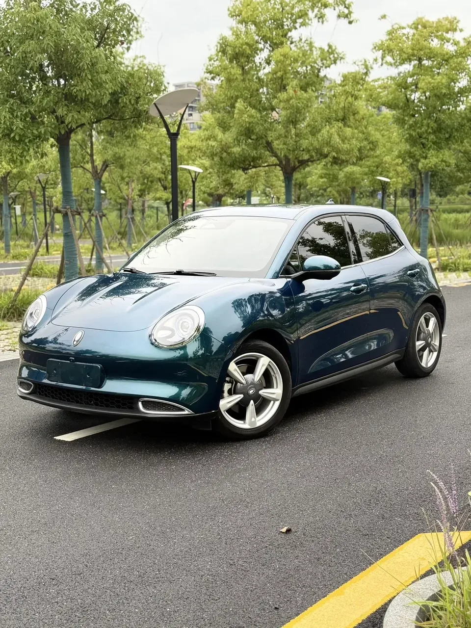 ORA Euler good cat Euler good cat 2023 401km standard endurance luxury lithium iron phosphate 2023 — фото 1, купить с доставкой в Москву