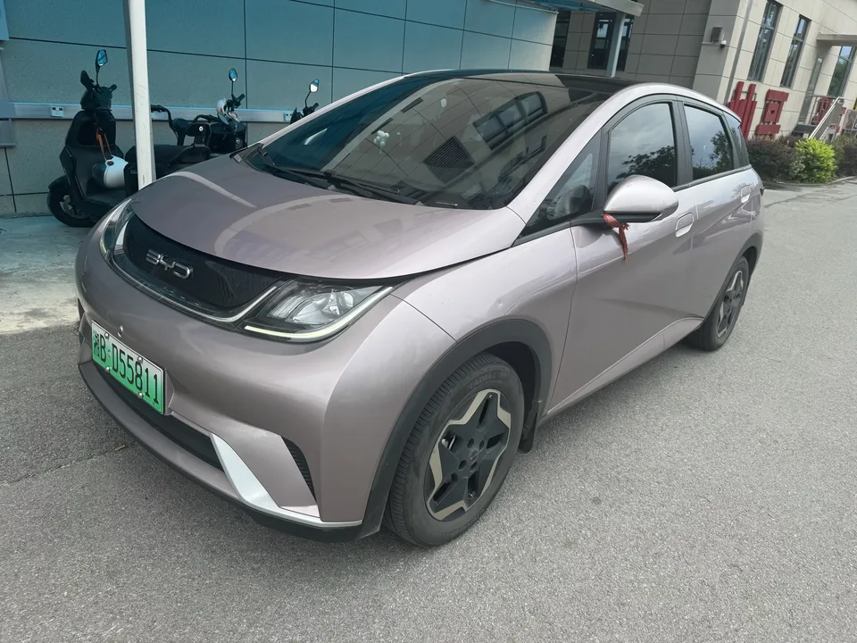 BYD Dolphin dolphin 2021 Free version 2022 — photo 1, buy with delivery to Moscow
