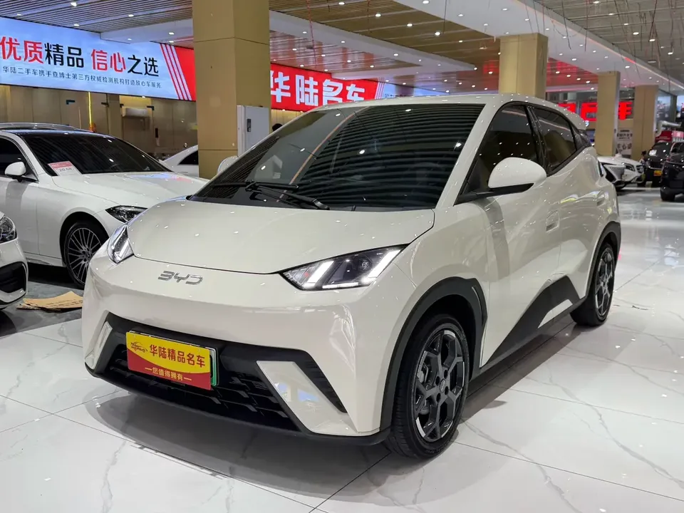BYD Seagull seagull 2025 Smart Driving Edition 305KM Free Edition 2025 — photo 1, buy with delivery to Moscow
