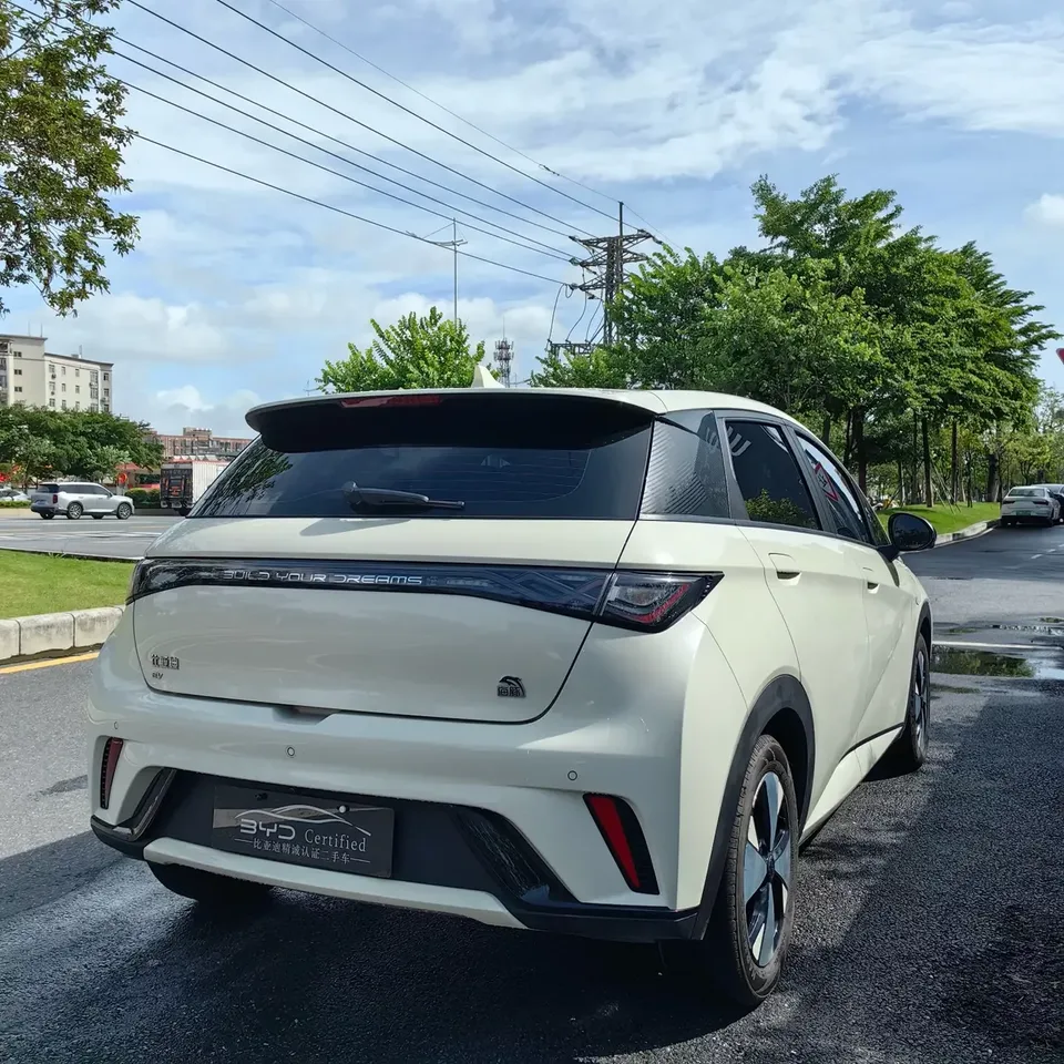 BYD Dolphin dolphin 2023 Fashion version 2023 — миниатюра 2