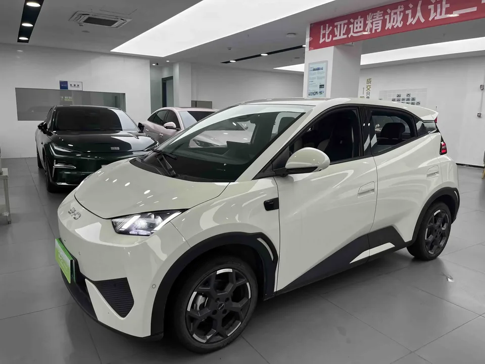 BYD Seagull seagull 2025 Smart Driving Edition 405KM Flying Edition 2025 — photo 1, buy with delivery to Moscow