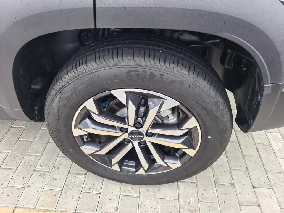 Haval Dargo Harvard dog 2024 1.5T 2WD Border Collie Edition 2025 — thumbnail 2