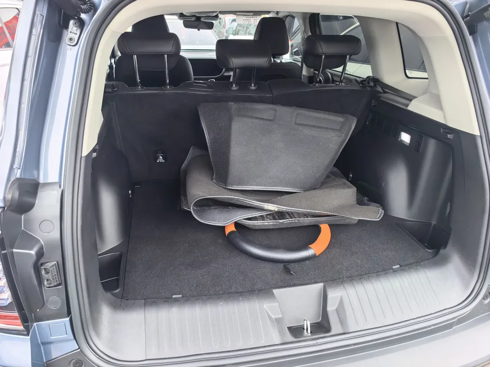 Haval Dargo Harvard dog 2024 1.5T 2WD Border Collie Edition 2025 — thumbnail 5