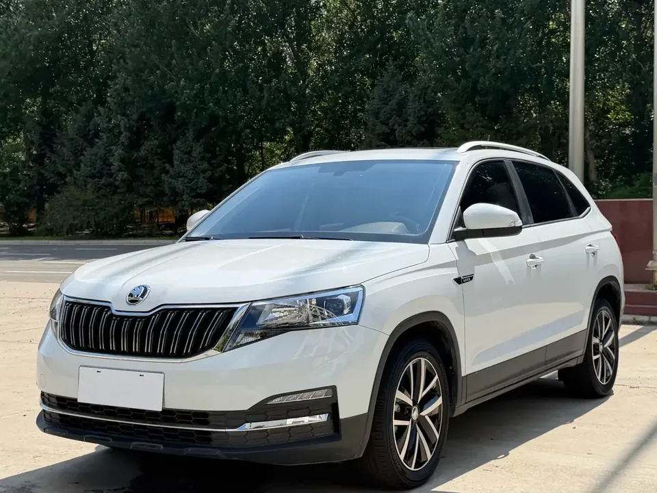 Skoda Comek Comek 2022 1.5L Automatic Comfort Edition 2023 — photo 1, buy with delivery to Moscow