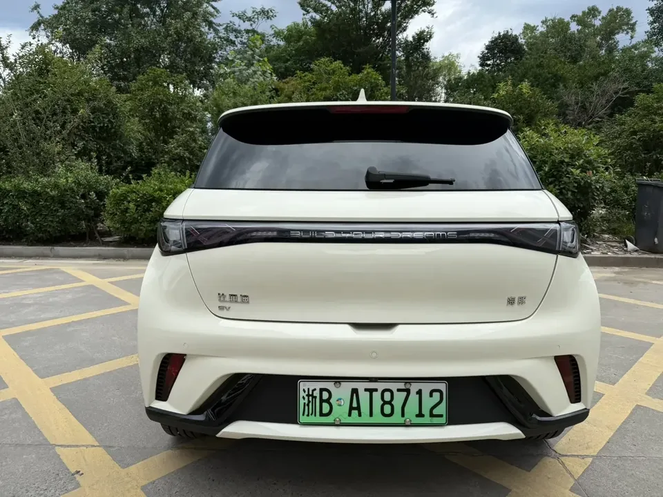 BYD Dolphin dolphin 2024 Glory Edition 420km Freedom Edition 2024 — thumbnail 2