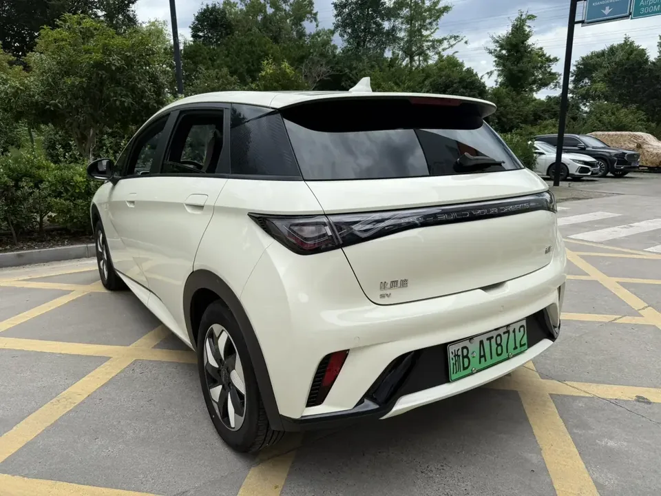 BYD Dolphin dolphin 2024 Glory Edition 420km Freedom Edition 2024 — thumbnail 4