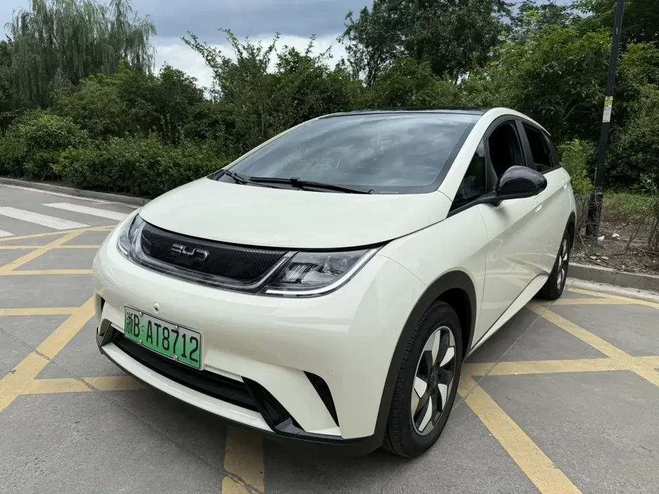BYD Dolphin dolphin 2024 Glory Edition 420km Freedom Edition 2024 — photo 1, buy with delivery to Moscow