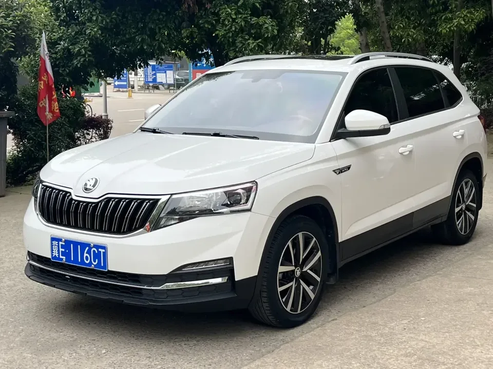 Skoda Comek Comek 2022 1.5L Automatic Comfort Edition 2022 — photo 1, buy with delivery to Moscow