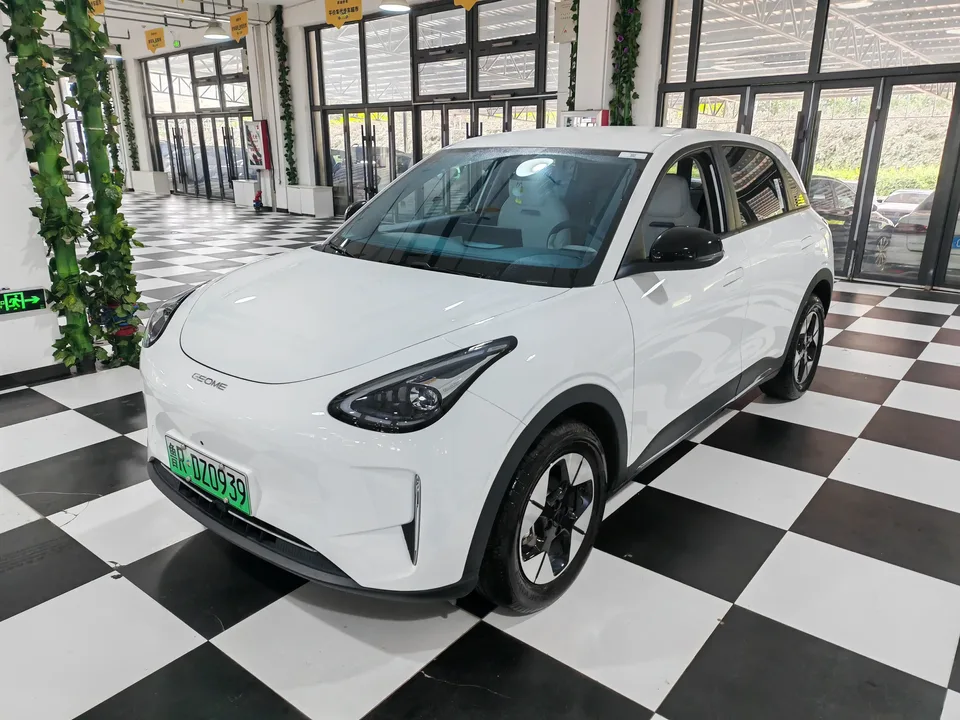 Geely Star Wish Star Wish 2025 310km Dream Edition 2025 — photo 1, buy with delivery to Moscow