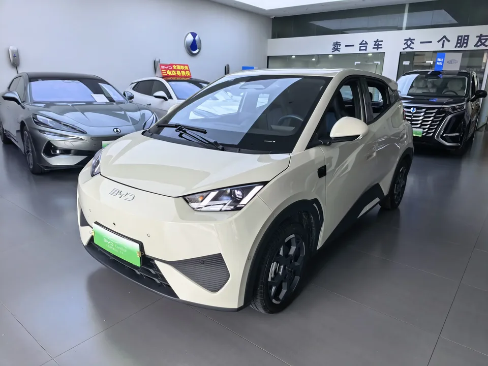 BYD Seagull seagull 2025 Smart Driving Edition 405KM Flying Edition 2025 — photo 1, buy with delivery to Moscow