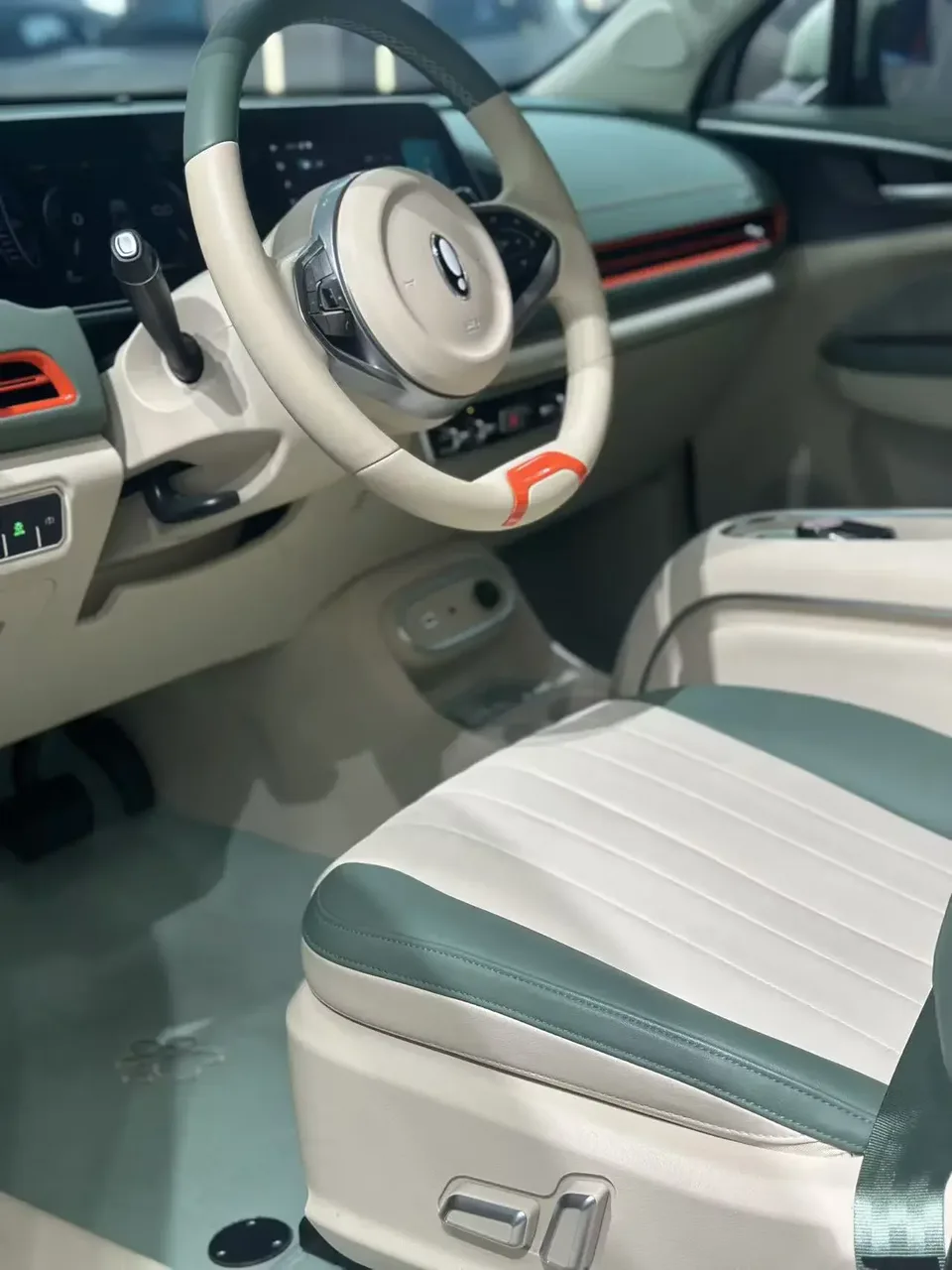 ORA Euler good cat Euler good cat 2023 401km standard endurance luxury lithium iron phosphate 2024 — thumbnail 3