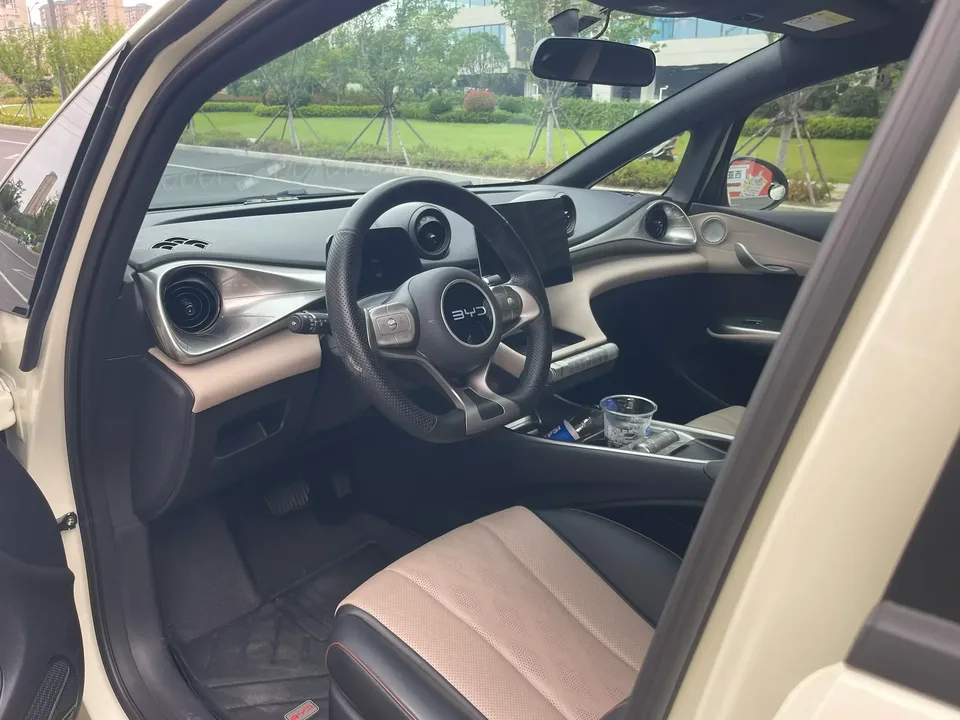BYD Dolphin dolphin 2024 Glory Edition 420km Freedom Edition 2025 — thumbnail 2