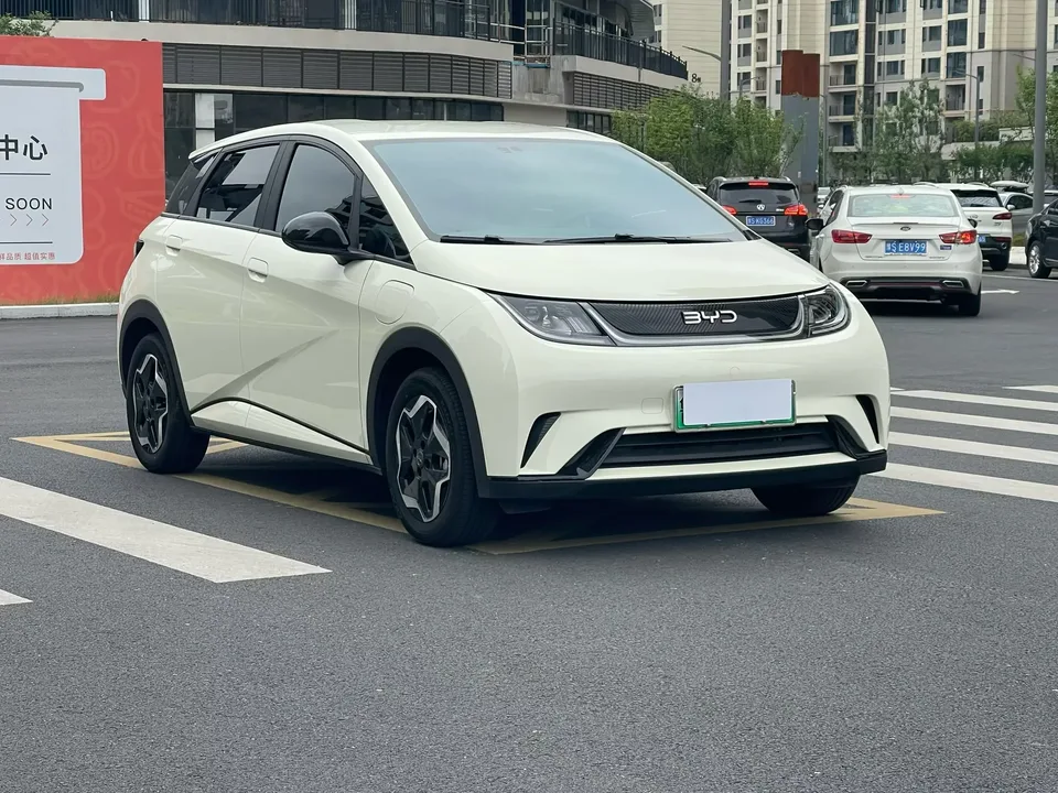 BYD Dolphin dolphin 2024 Glory Edition 420km Freedom Edition 2025 — thumbnail 3
