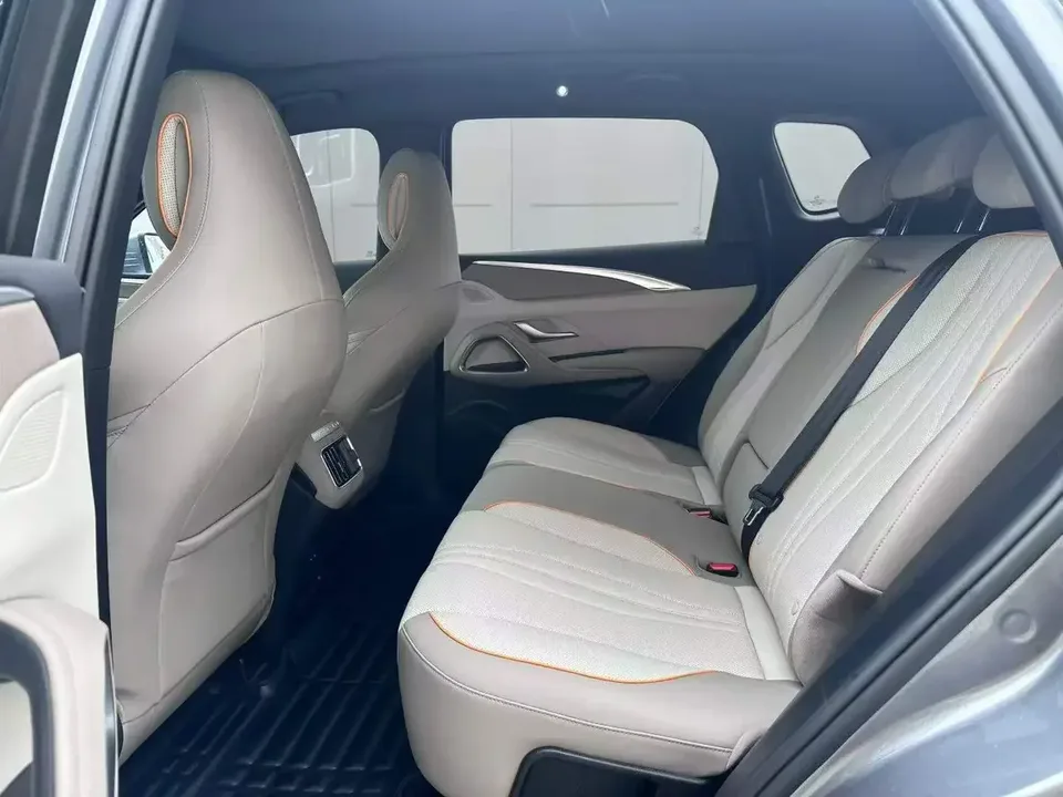 BYD Song Pro DM Song Pro DM 2023 DM-i Champion Edition 110km Excellence 2023 — миниатюра 3