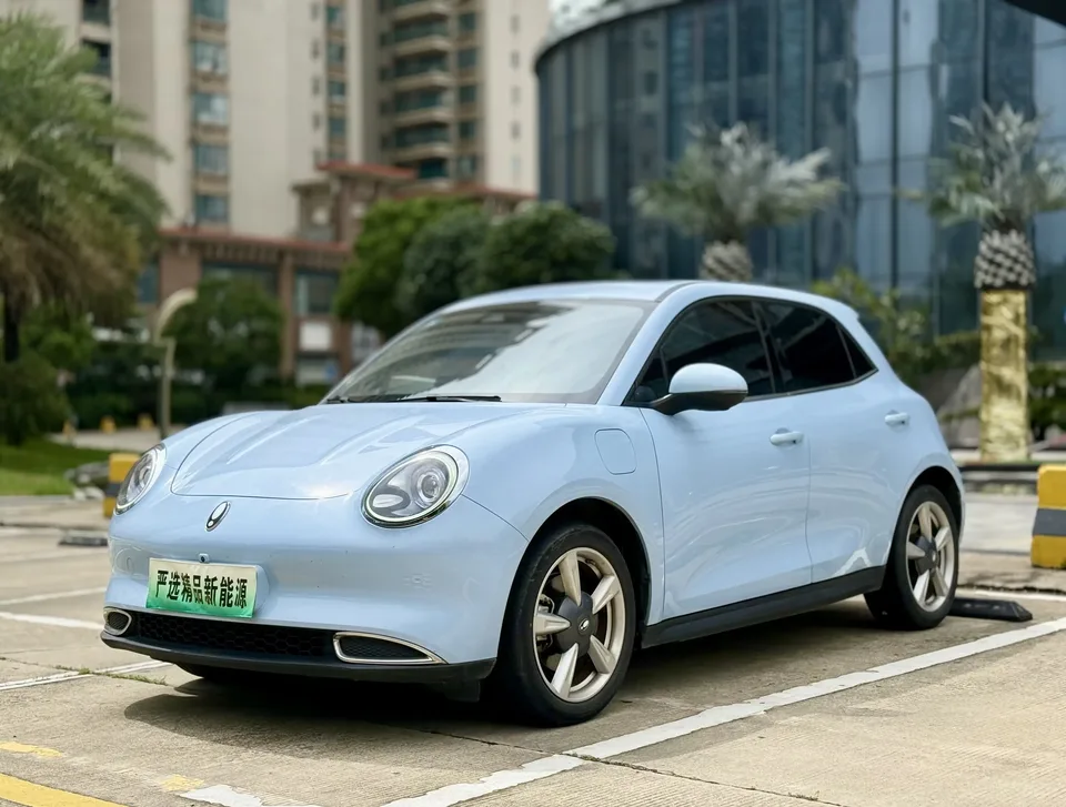 ORA Euler good cat Euler good cat 2021 400km standard range Venus version ternary lithium battery 2022 — photo 1, buy with delivery to Moscow