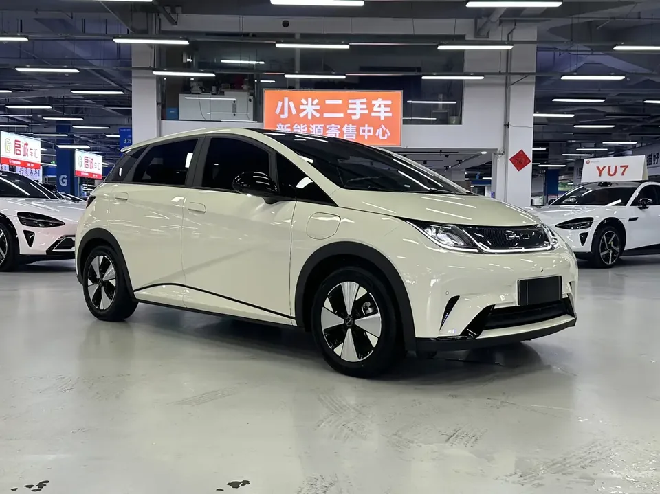 BYD Dolphin dolphin 2023 Fashion version 2023 — photo 1, buy with delivery to Moscow