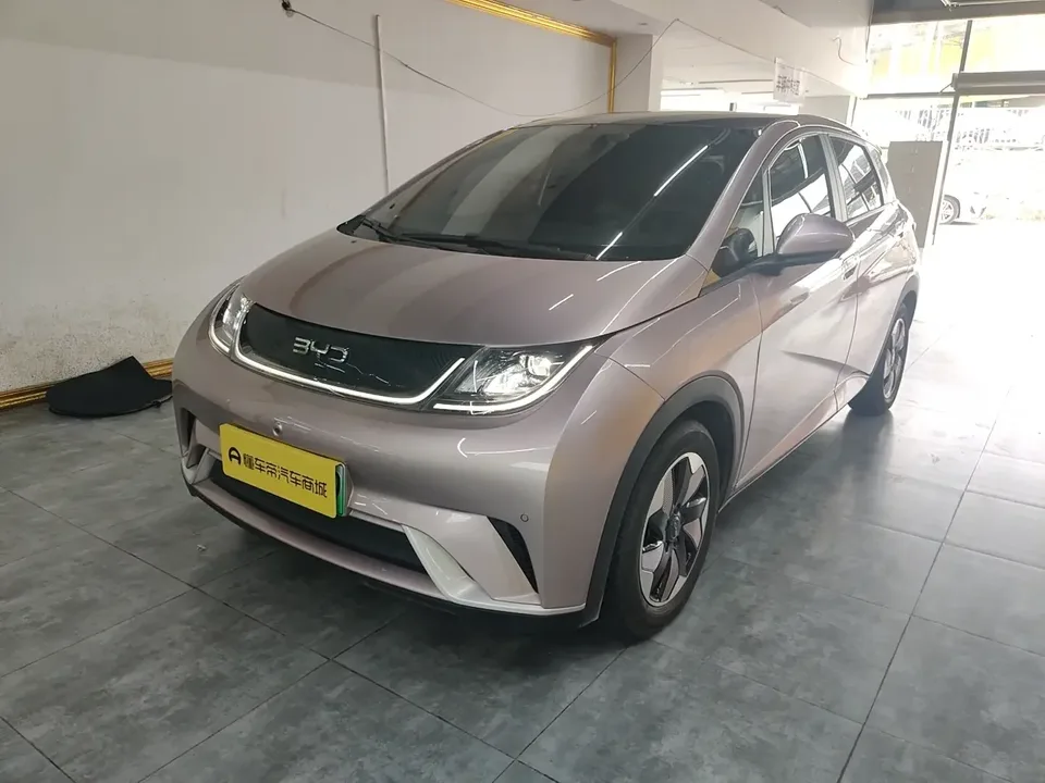 BYD Dolphin dolphin 2024 Honor Edition 420km Fashion Edition 2024 — photo 1, buy with delivery to Moscow