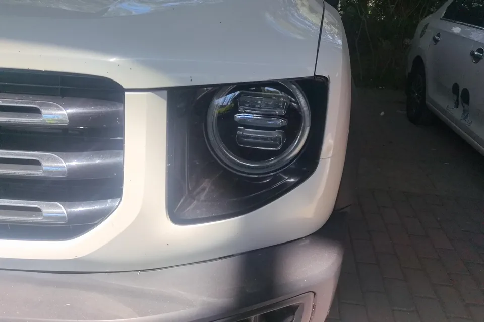 Haval Dargo Harvard dog 2022 1.5T 2WD Labrador Edition 2023 — thumbnail 2