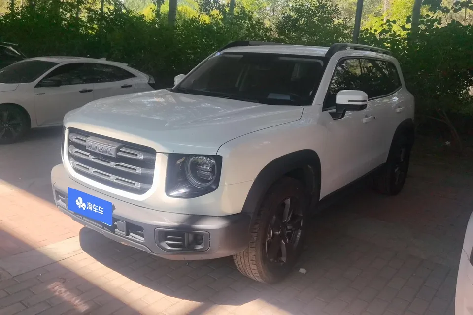 Haval Dargo Harvard dog 2022 1.5T 2WD Labrador Edition 2023 — photo 1, buy with delivery to Moscow