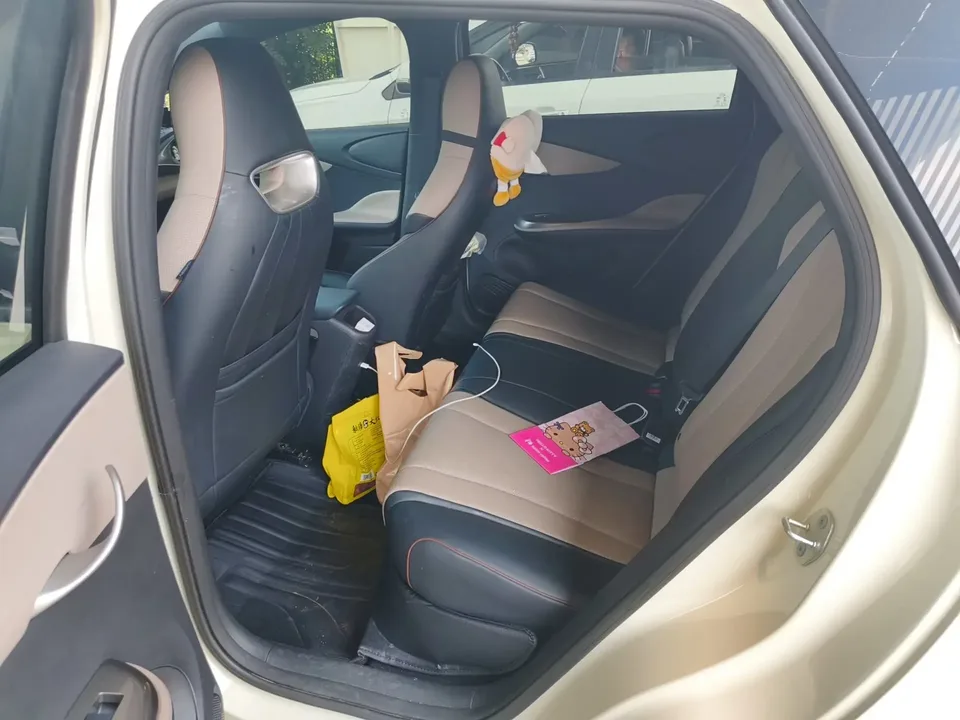 BYD Dolphin dolphin 2024 Glory Edition 420km Freedom Edition 2024 — thumbnail 3