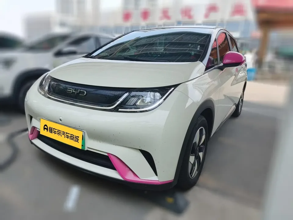 BYD Dolphin dolphin 2024 Glory Edition 420km Freedom Edition 2024 — photo 1, buy with delivery to Moscow