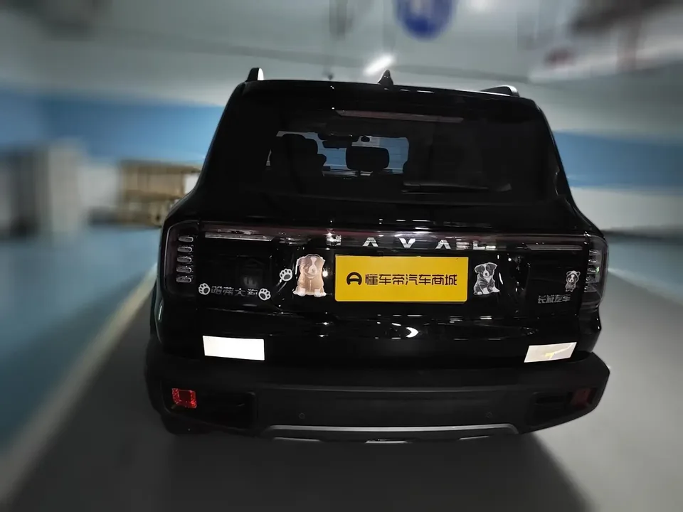 Haval Dargo Harvard dog 2024 1.5T 2WD Border Collie Edition 2024 — thumbnail 2
