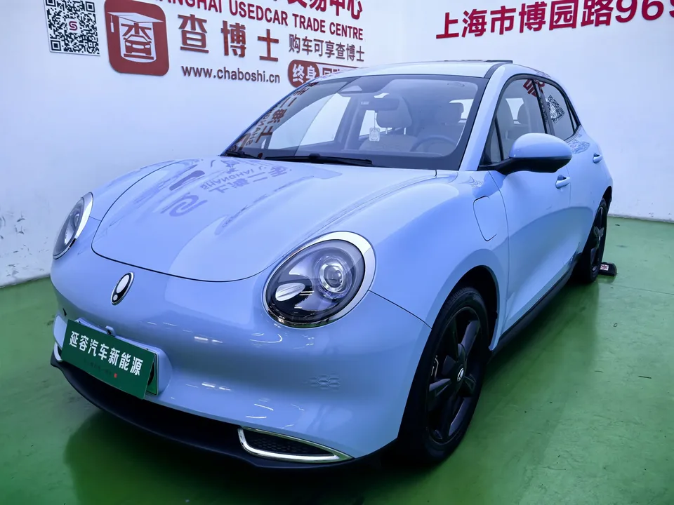 ORA Euler good cat Euler good cat 2024 401km Luxury 2024 — photo 1, buy with delivery to Moscow