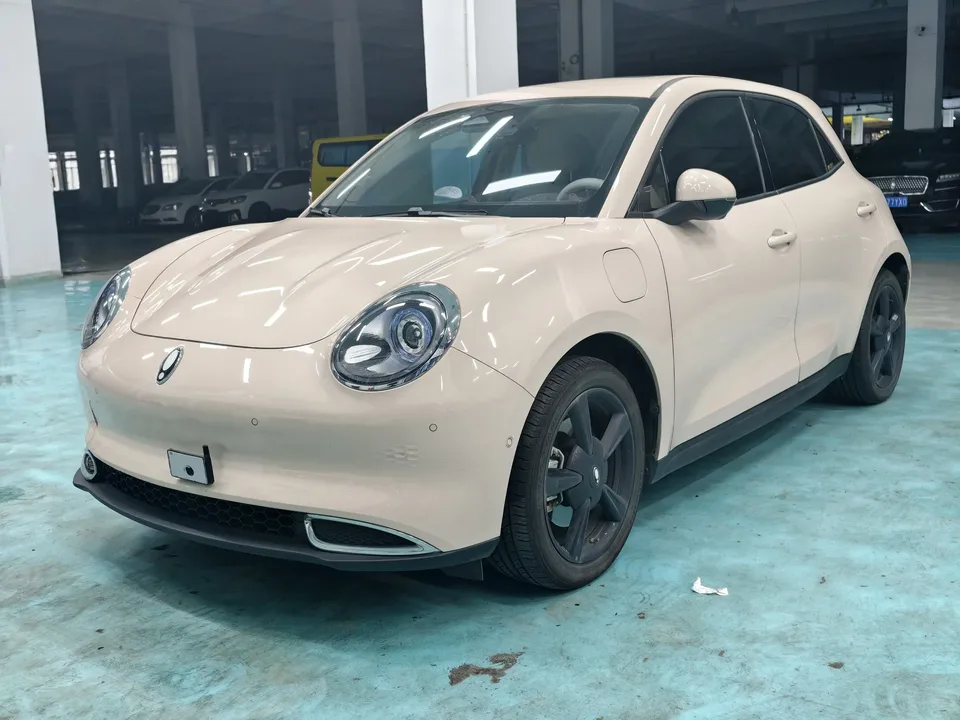 ORA Euler good cat Euler good cat 2024 401km Premium 2024 — фото 1, купить с доставкой в Москву