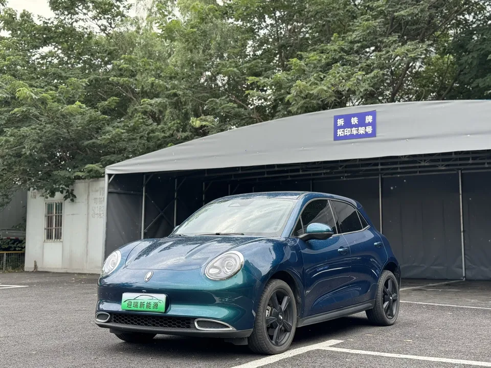 ORA Euler good cat Euler good cat 2024 401km Luxury 2024 — photo 1, buy with delivery to Moscow