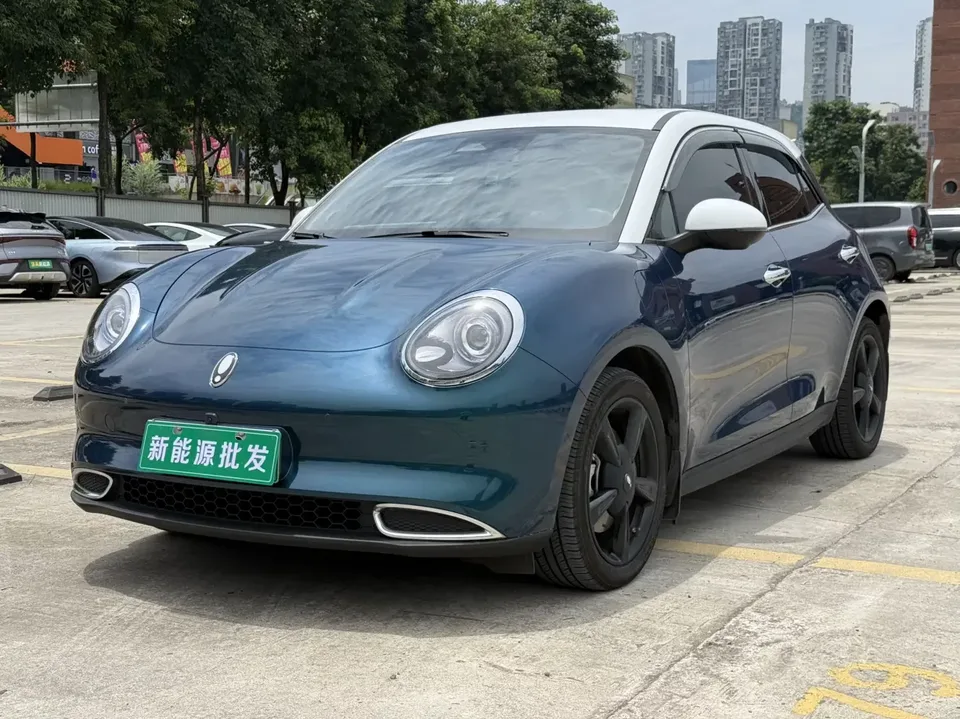 ORA Euler good cat Euler good cat 2024 501km Prestige 2024 — photo 1, buy with delivery to Moscow