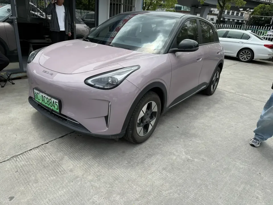Geely Star Wish Star Wish 2025 310km Dream Edition 2025 — photo 1, buy with delivery to Moscow