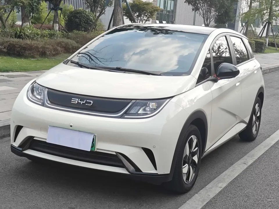 BYD Dolphin dolphin 2024 Glory Edition 420km Freedom Edition 2024 — photo 1, buy with delivery to Moscow