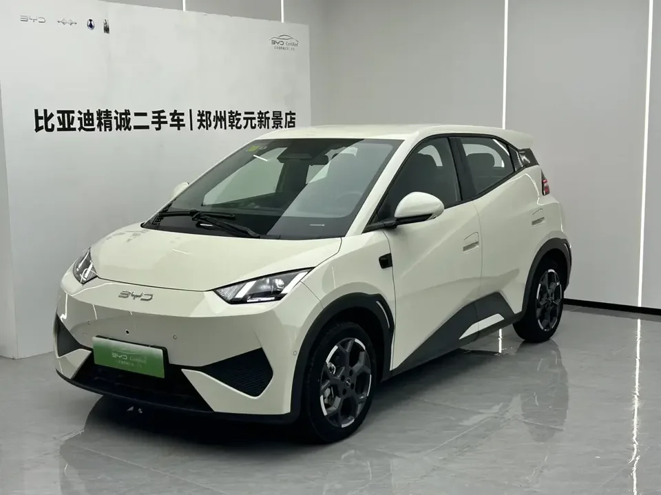 BYD Seagull seagull 2025 Smart Driving Edition 305KM Free Edition 2025 — photo 1, buy with delivery to Moscow