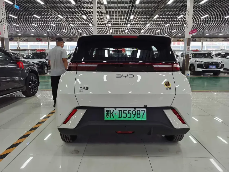 BYD Seagull seagull 2025 305KM Vitality Edition 2026 — thumbnail 2