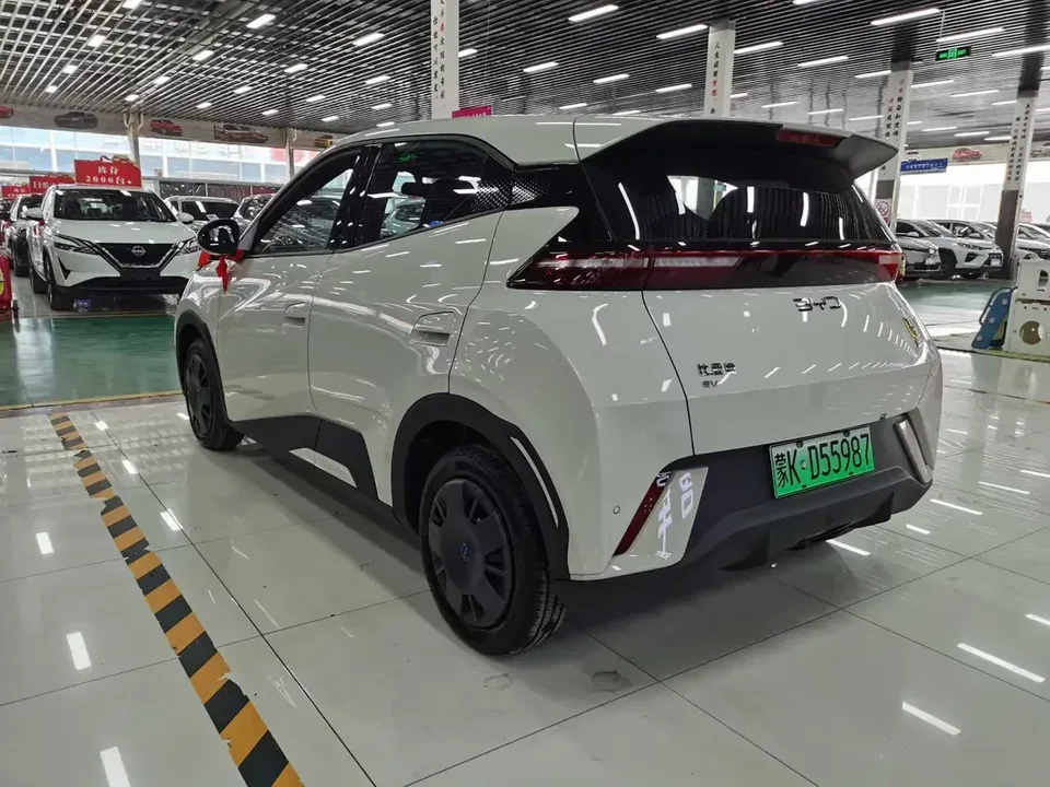 BYD Seagull seagull 2025 305KM Vitality Edition 2026 — thumbnail 4