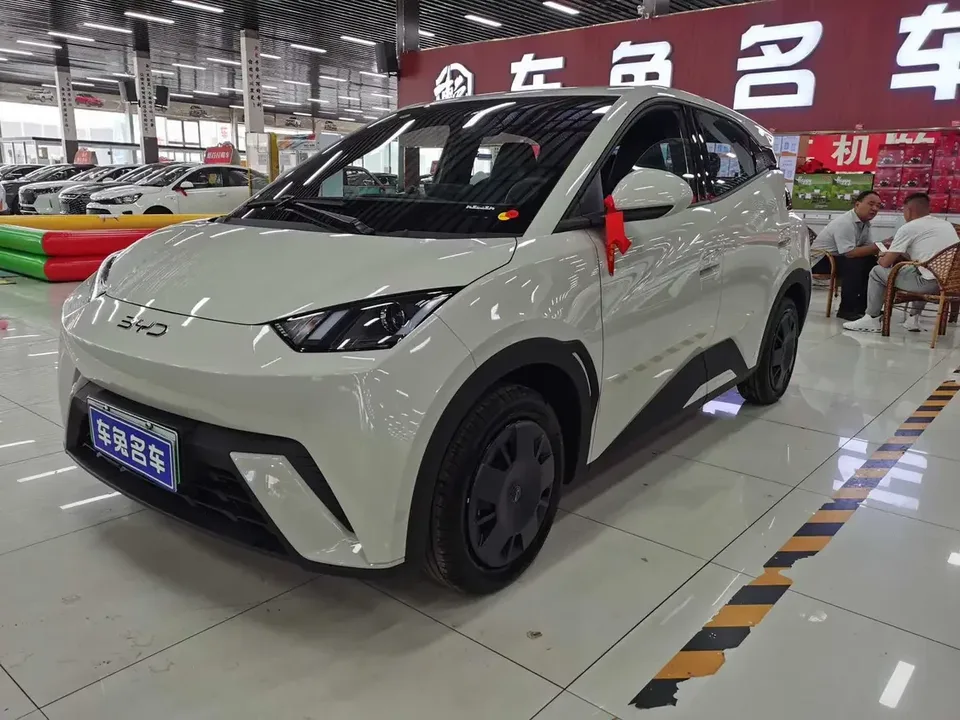 BYD Seagull seagull 2025 305KM Vitality Edition 2026 — photo 1, buy with delivery to Moscow