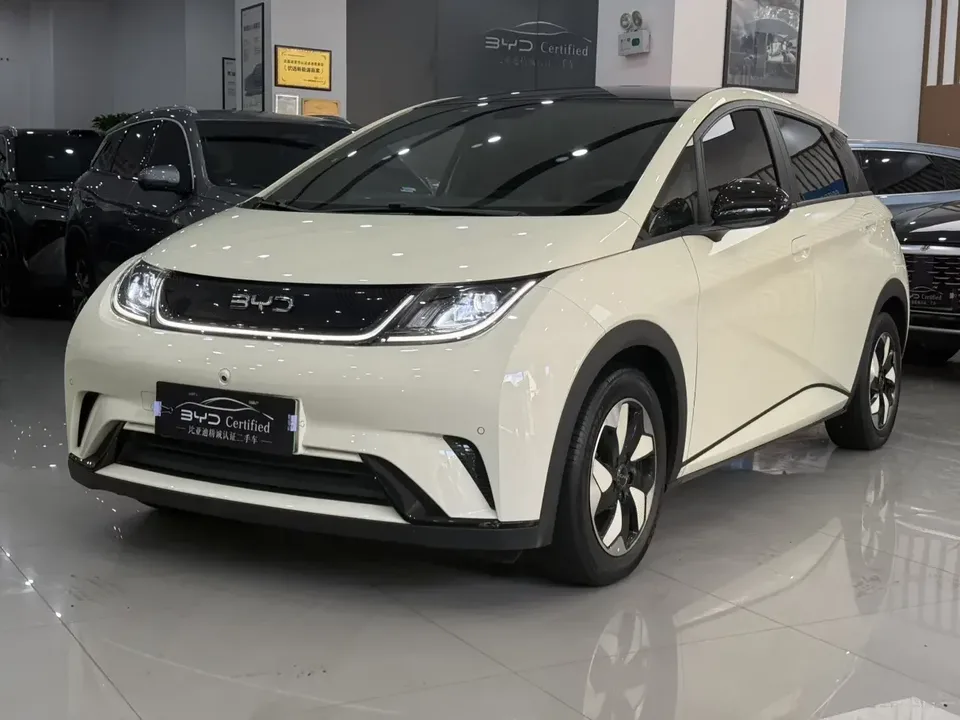 BYD Dolphin dolphin 2024 Honor Edition 420km Fashion Edition 2024 — photo 1, buy with delivery to Moscow