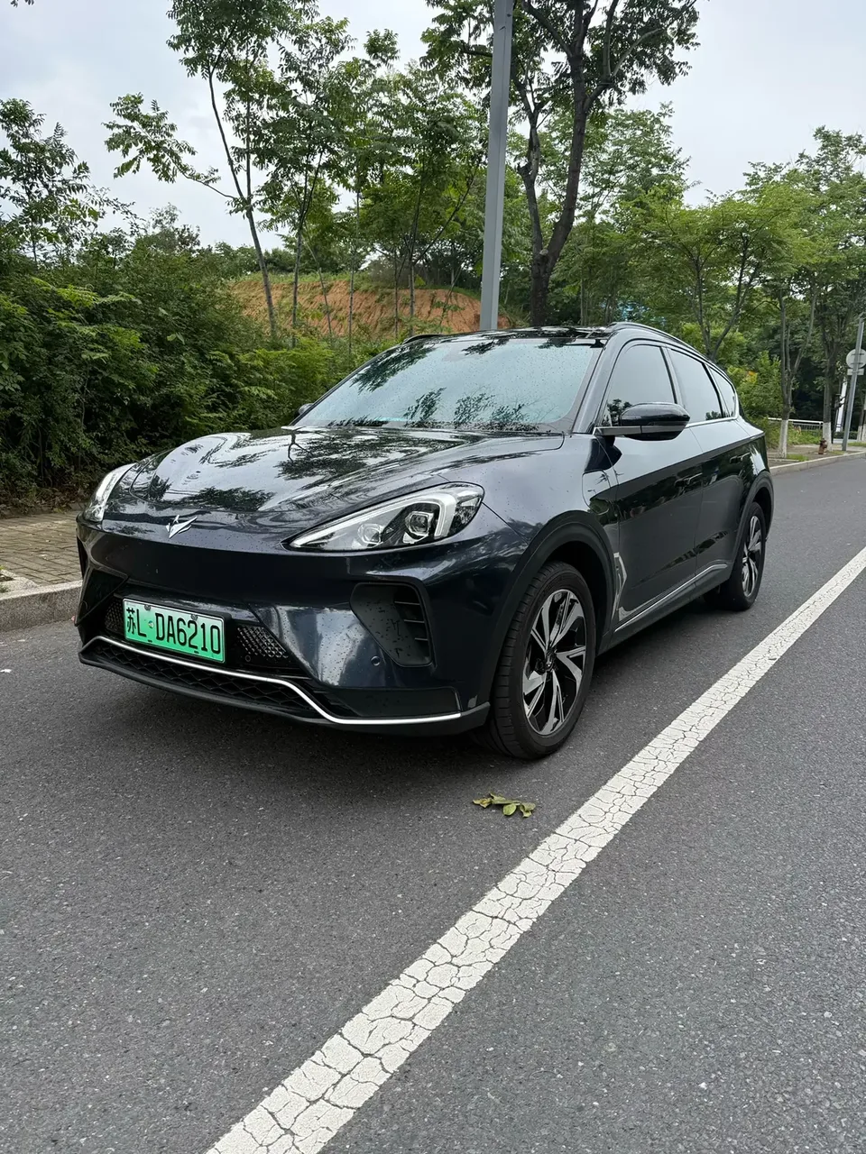 ARCFOX Extreme Fox Extreme Fox Alpha T Extreme Fox Alpha T 2023 Forest Edition 480E 160kW 2023 — фото 1, купить с доставкой в Москву