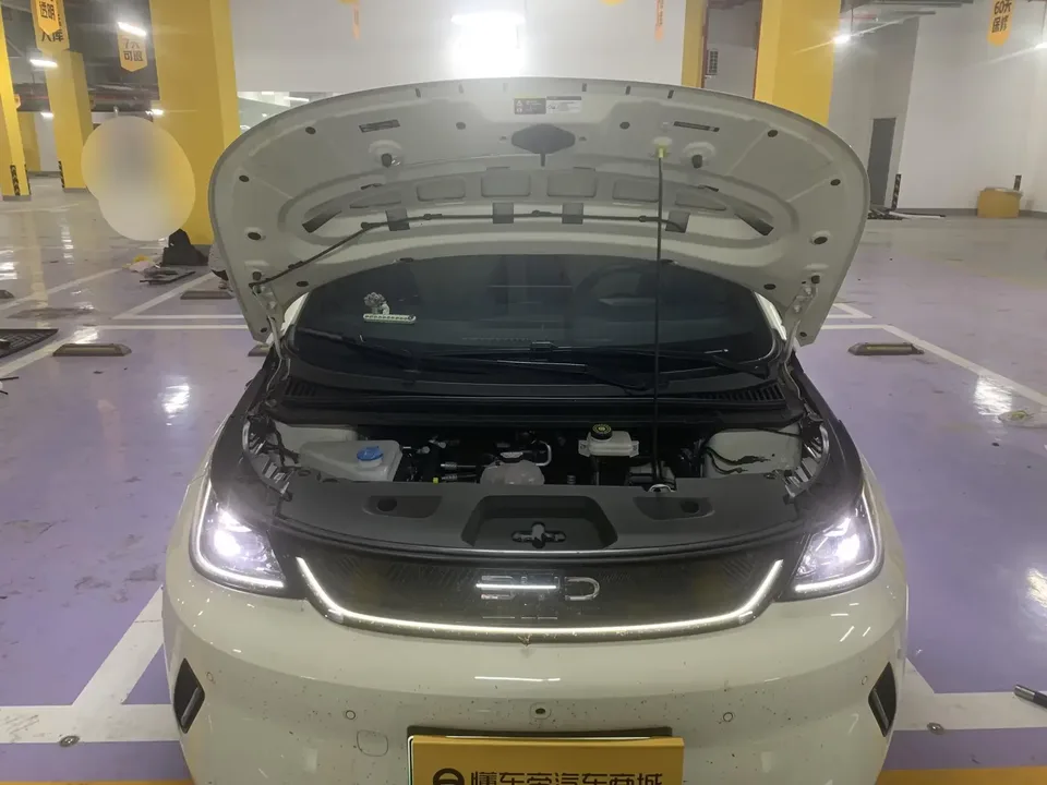 BYD Dolphin dolphin 2025 Smart Driving Edition 410KM Fashion Edition 2025 — миниатюра 5