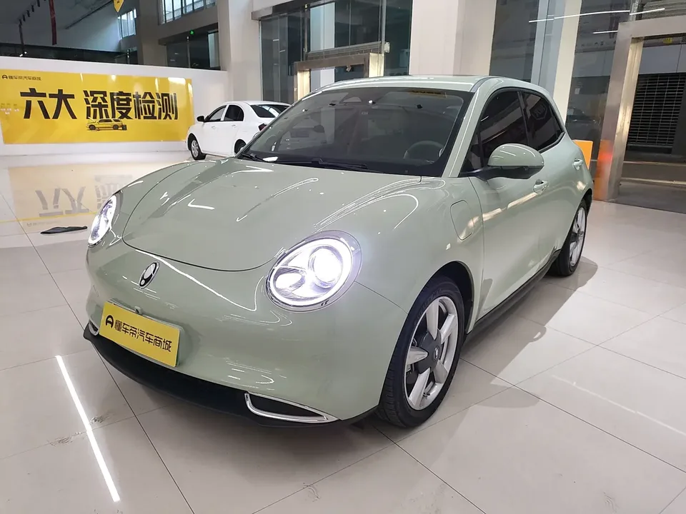 ORA Euler good cat Euler good cat 2023 401km standard endurance premium lithium iron phosphate 2023 — photo 1, buy with delivery to Moscow