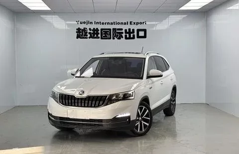 Skoda Comek Comek 2023 1.5L Automatic Comfort Edition 2023 — photo 1, buy with delivery to Moscow