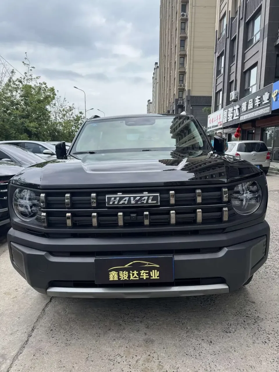 Haval cool dog Haval cool dog 2022 1.5T Cool Edition 2023 — thumbnail 2