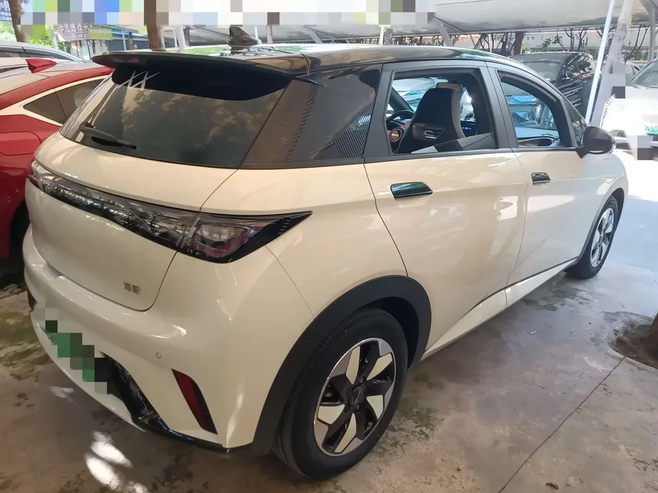 BYD Dolphin dolphin 2025 420KM Fashion Edition 2024 — thumbnail 2