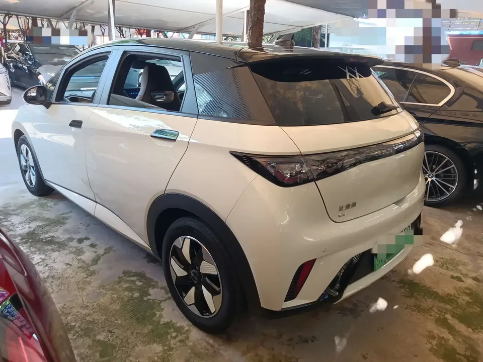 BYD Dolphin dolphin 2025 420KM Fashion Edition 2024 — thumbnail 4