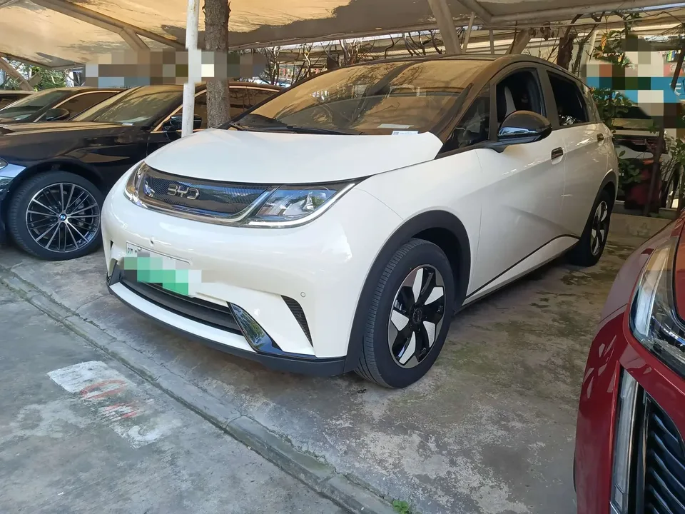 BYD Dolphin dolphin 2025 420KM Fashion Edition 2024 — photo 1, buy with delivery to Moscow