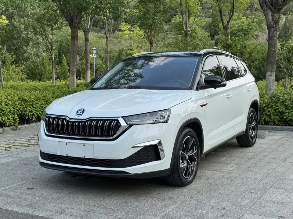 Skoda Kamiq Komic GT 2023 Modified 1.5L Automatic Premium Edition 2023 — photo 1, buy with delivery to Moscow