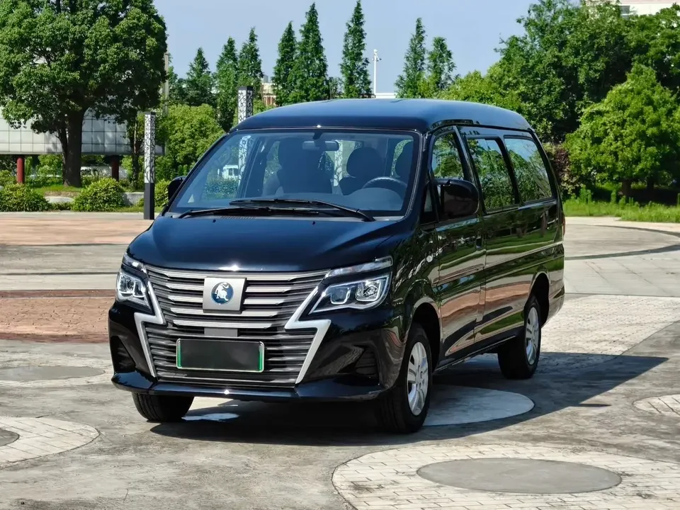 Forthing Lingzhi New Energy Lingzhi New Energy 2025 420km pure electric city version 5 seats 2025 — photo 1, buy with delivery to Moscow