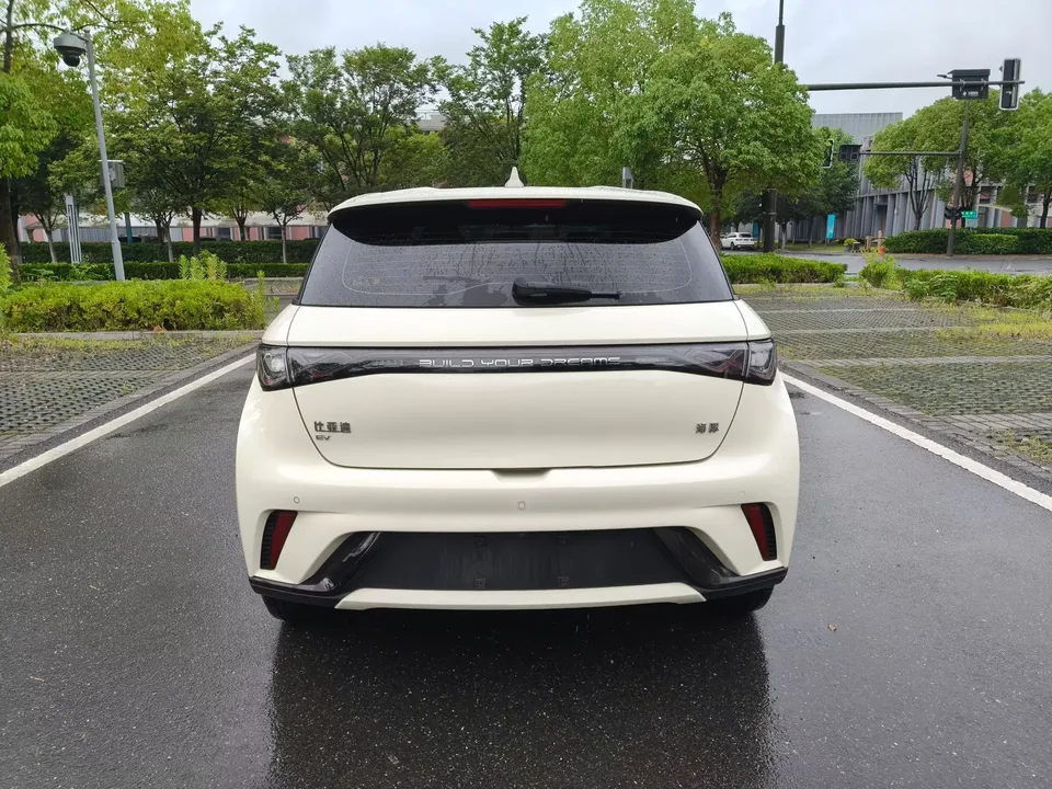 BYD Dolphin dolphin 2025 420KM Fashion Edition 2025 — thumbnail 2