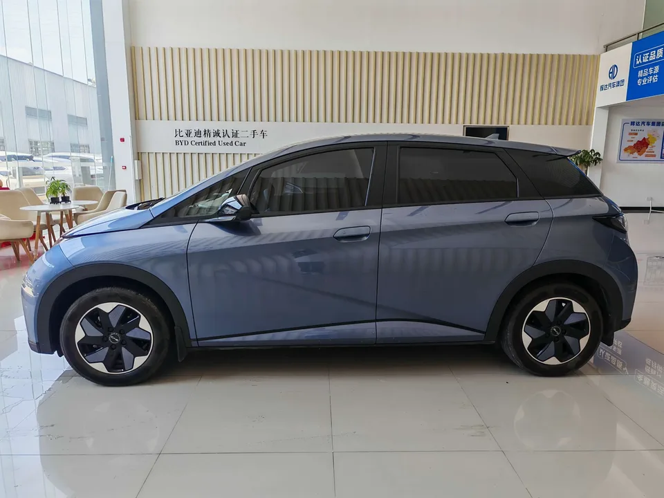 BYD Dolphin dolphin 2025 420KM Free Edition 2024 — thumbnail 4